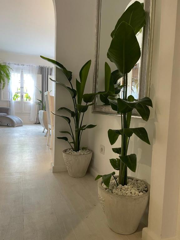 Fotografie z fotogalerie ubytování Home Away From Home Marbella v destinaci Marbella