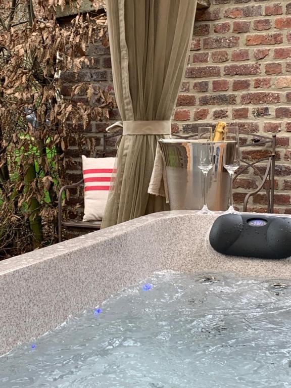 een jacuzzi met een zwart voorwerp erin bij Une Histoire de Loup 