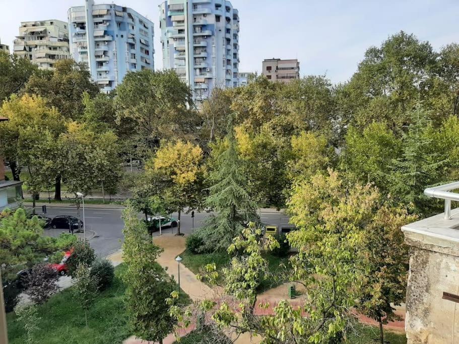 Cozy Apartment in the heart of Tirana - Image 6