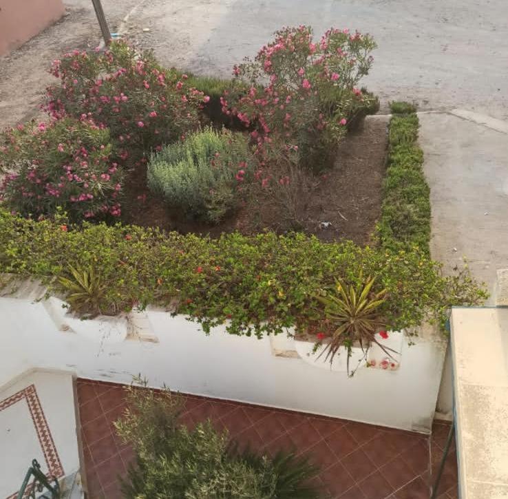 a planter filled with flowers and plants on a street at Splendide villa a 2 pas de la mer in Douar Ourlali