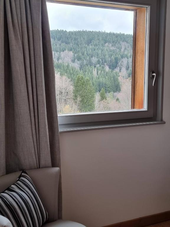 Chalet Terejo & spa - 3