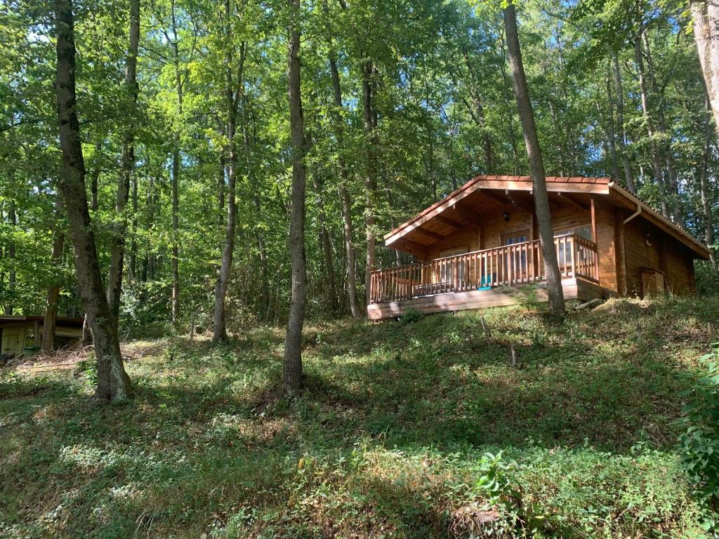 a log cabin in the middle of the woods at Chalets & Camping Villa Mayari in Escosse