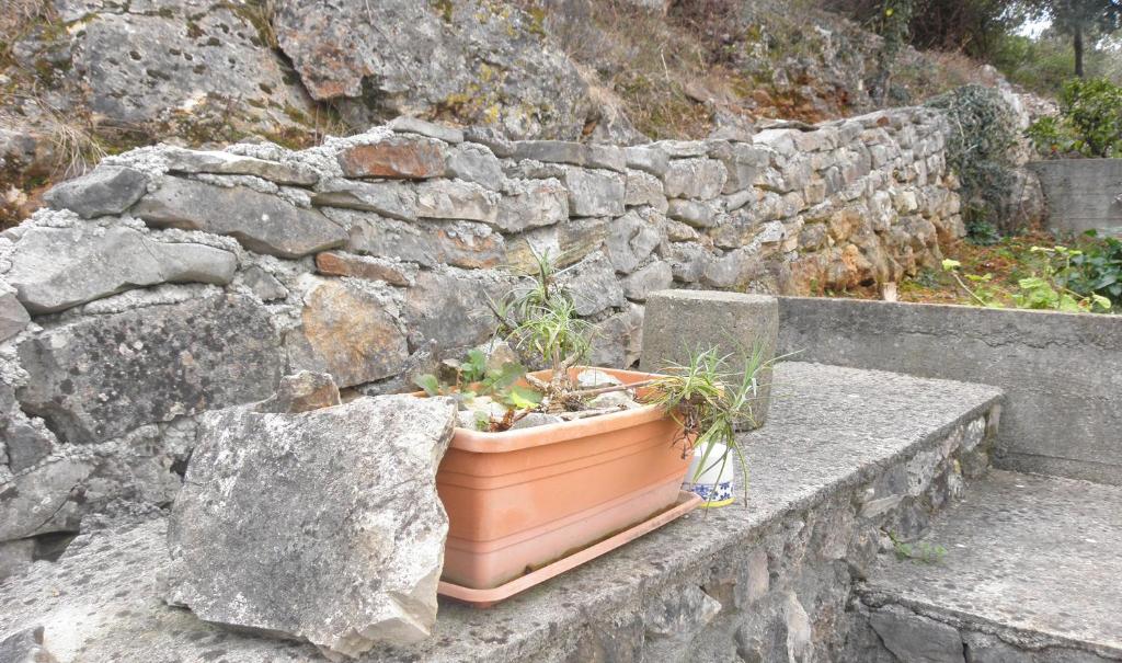 Fotografie z fotogalerie ubytování Apartments Bubica v destinaci Luka