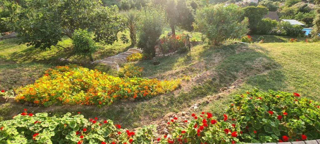 Zahrada ubytování Les Terrasses de Scaglioli