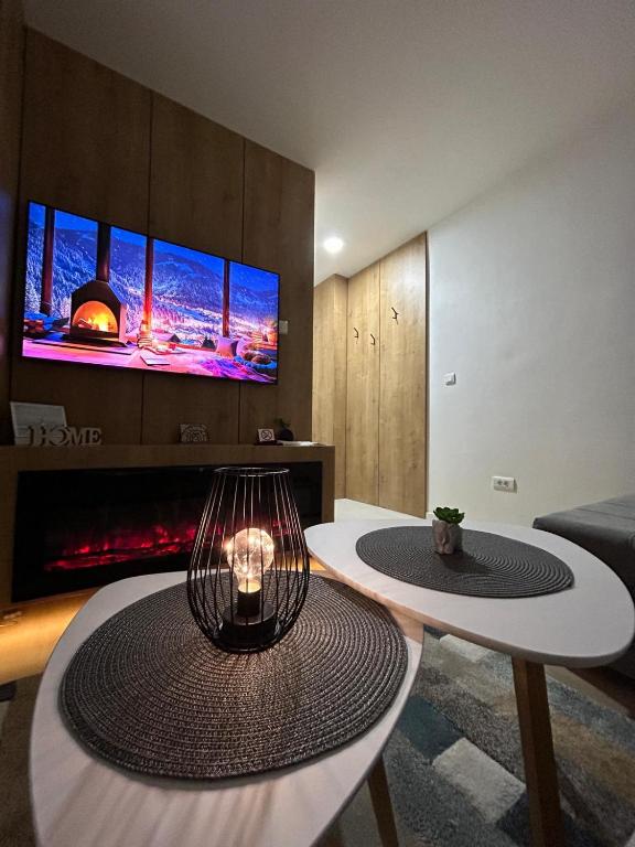 a living room with a table and a fireplace at Sova studio apartment Bjelasnica in Bjelašnica