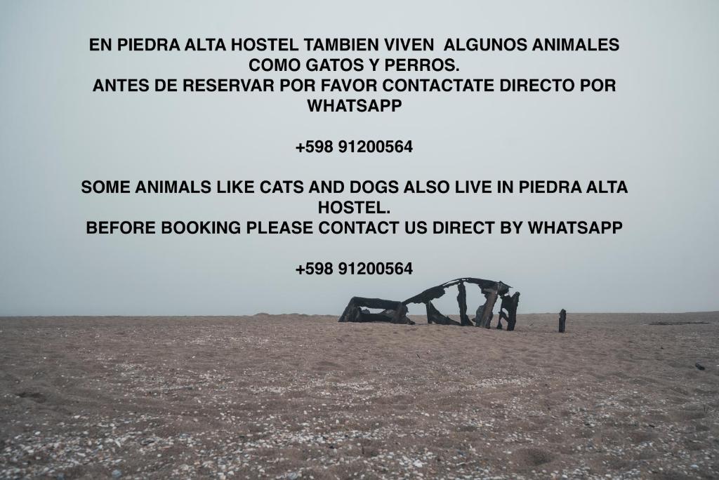 Piedra Alta Hostel & Suites - Single Bed In Mixed Dormitory Room