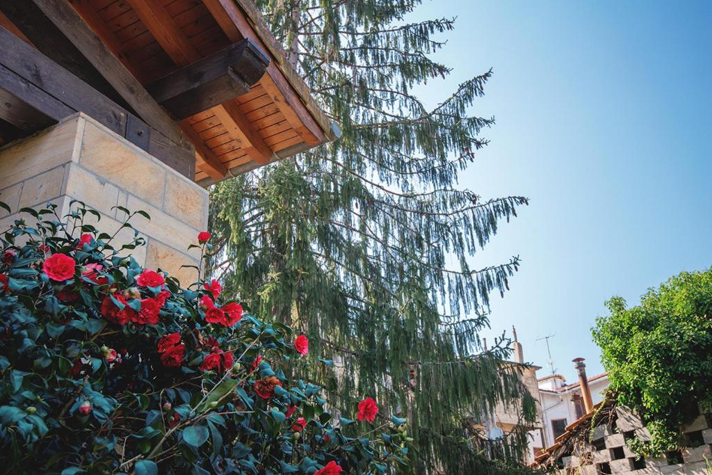 Zahrada ubytování Hotel Konbenio