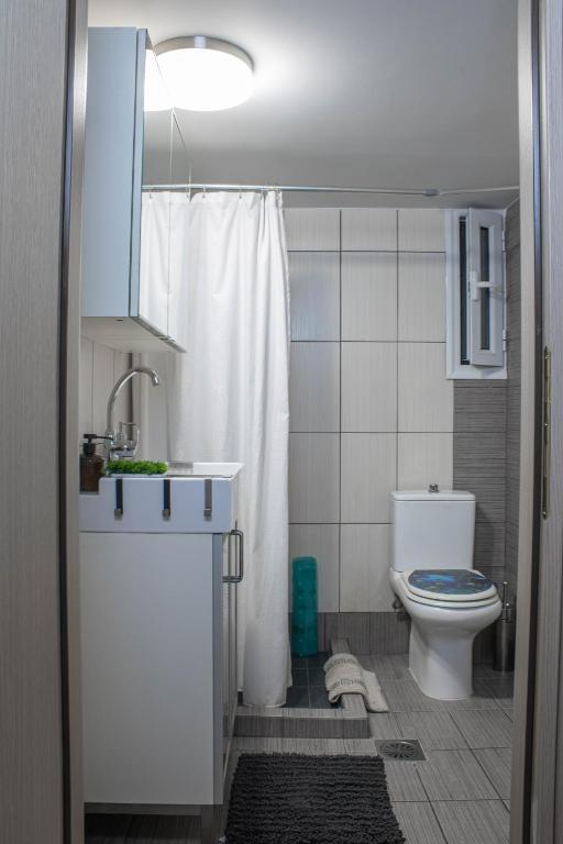 Kúpeľňa v ubytovaní Acropolis Urban Flat