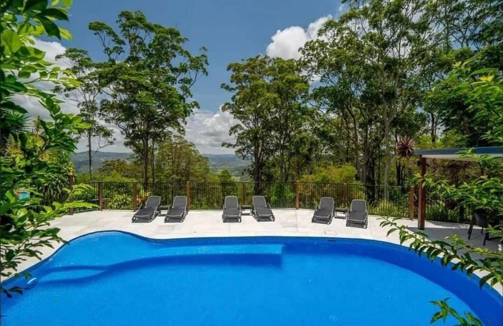 a swimming pool with a view of the trees at House of Mahalo BnB in Mapleton