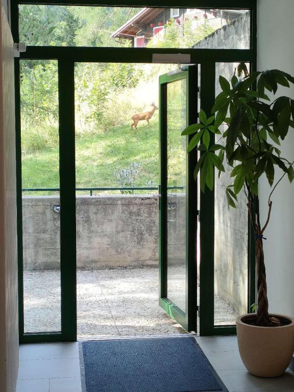 Center, Sauna, View - Haus LINARIA - Resim 14