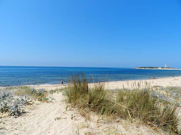 a beach with people in the water and sand at DADA CAÑOS in Los Caños de Meca