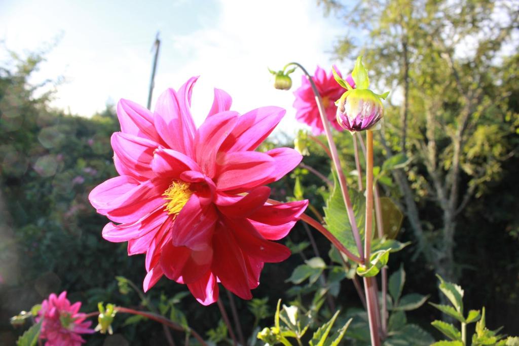 Jack & Di's Lakefront Motel - Resim 44