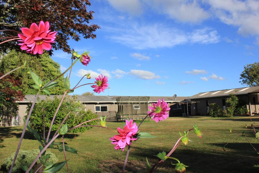 Jack & Di's Lakefront Motel - Resim 39