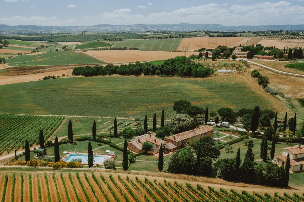 an aerial view of a vineyard with trees and a house at Via della Stella in Valiano