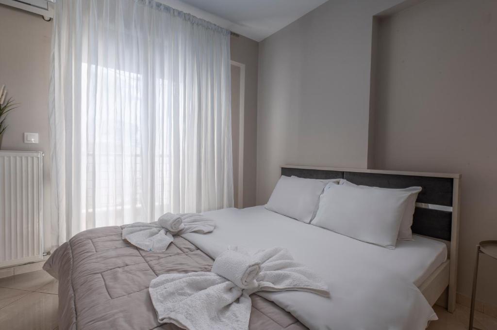 Antigonidon square 2 - 6