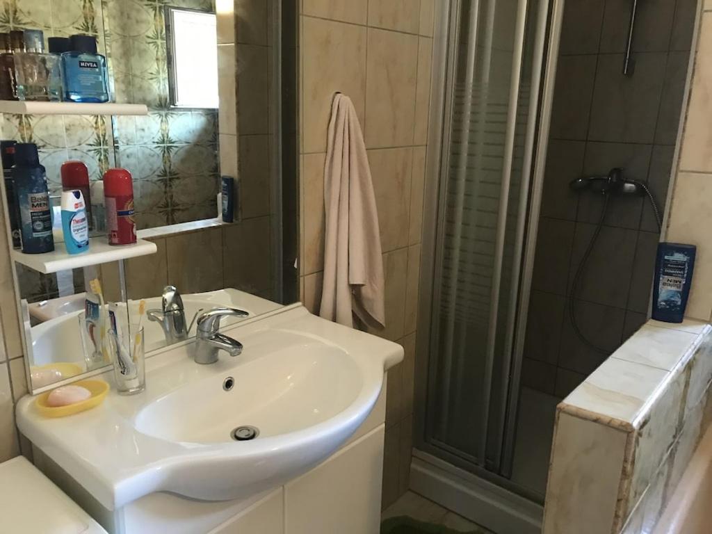een badkamer met wastafel en douche bij Villa lavanda in Lovinac