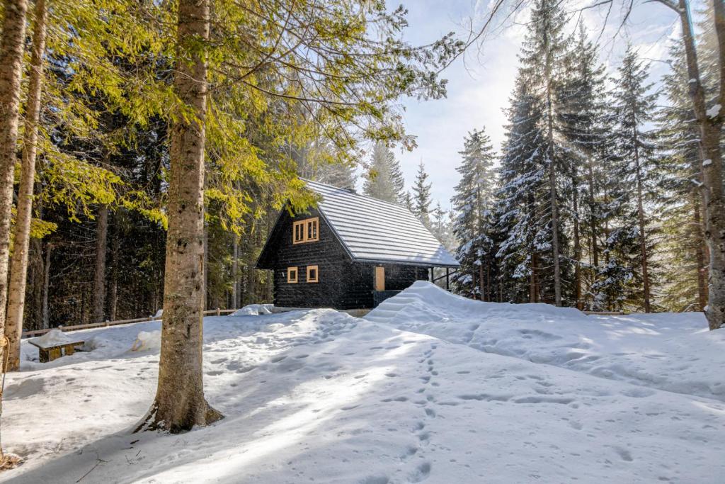 Goreljek的住宿－Cosy Lodge Pokljuka，雪中树林中的小屋
