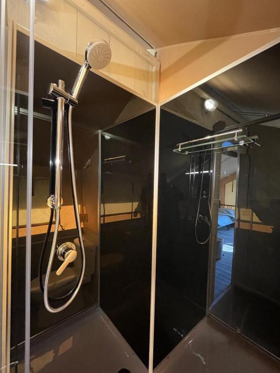 Koupelna v ubytování Luxe safaritenten Petit013 - nieuw
