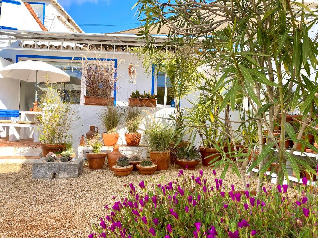 Casa da Aldeia - Vakantiehuis