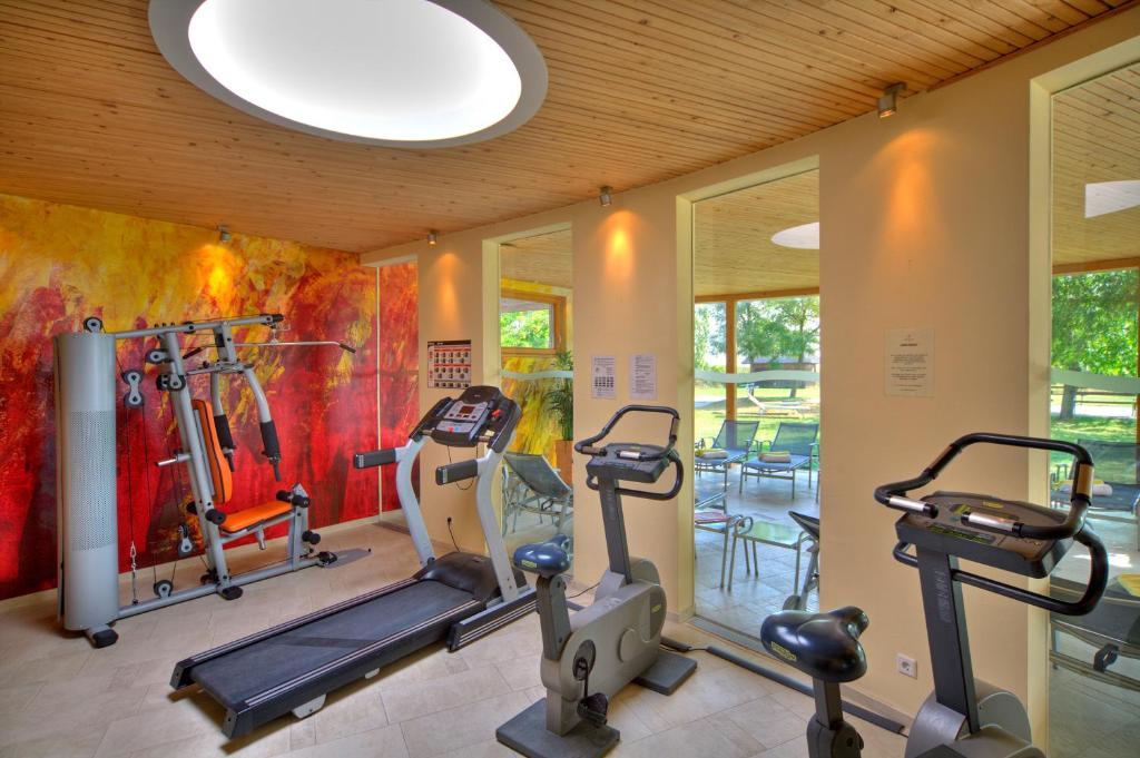 Fitness centrum a/nebo fitness zařízení v ubytování Seehotel Rust