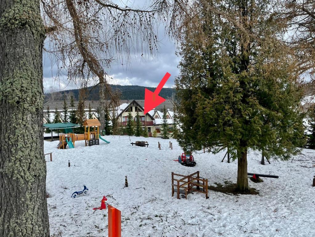 APARTMÁN MEZONET DONOVALY Plesnivec v zimě