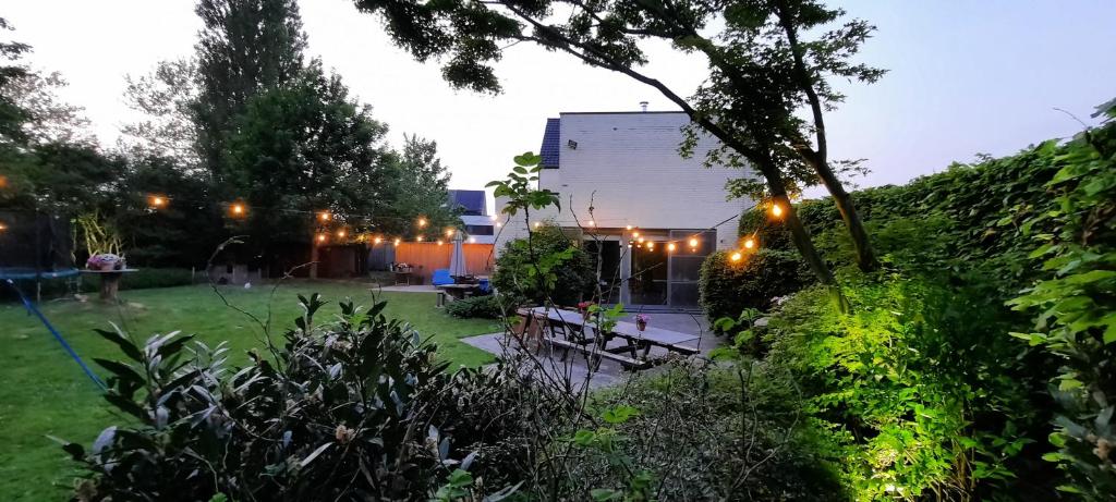 a garden with a bench in the yard at night at Guest house Tomorrowland in Kontich