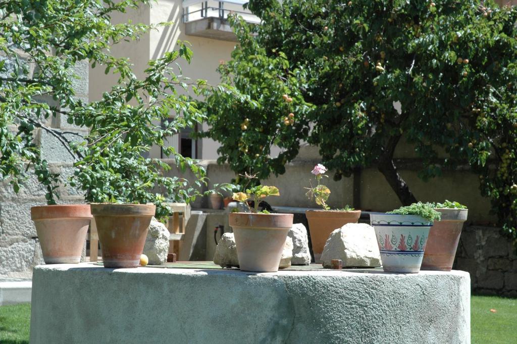 Zahrada ubytování Casa Rural Reposo de Afanes