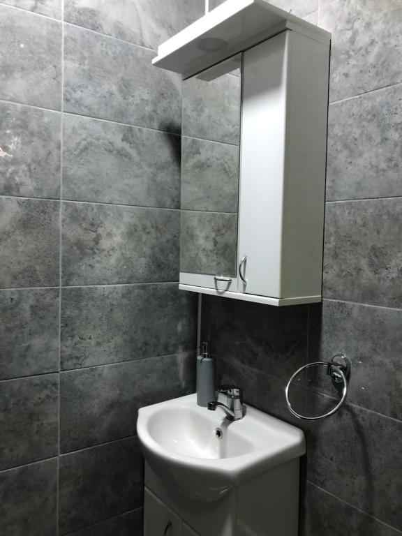 a bathroom with a sink and a mirror at Golubović Apartman in Crni Vrh