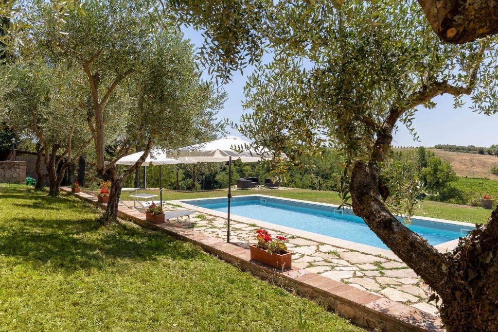 a swimming pool in a yard with trees at Poggio Vitignano Charming Cottage With Pool and Parking in Pianella