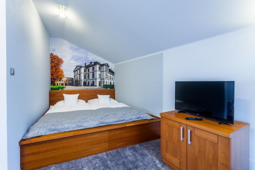 TV a/nebo společenská místnost v ubytování Hotel Jelínkova vila