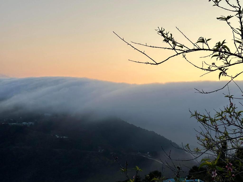 仁爱乡雲熙莊園的相册照片