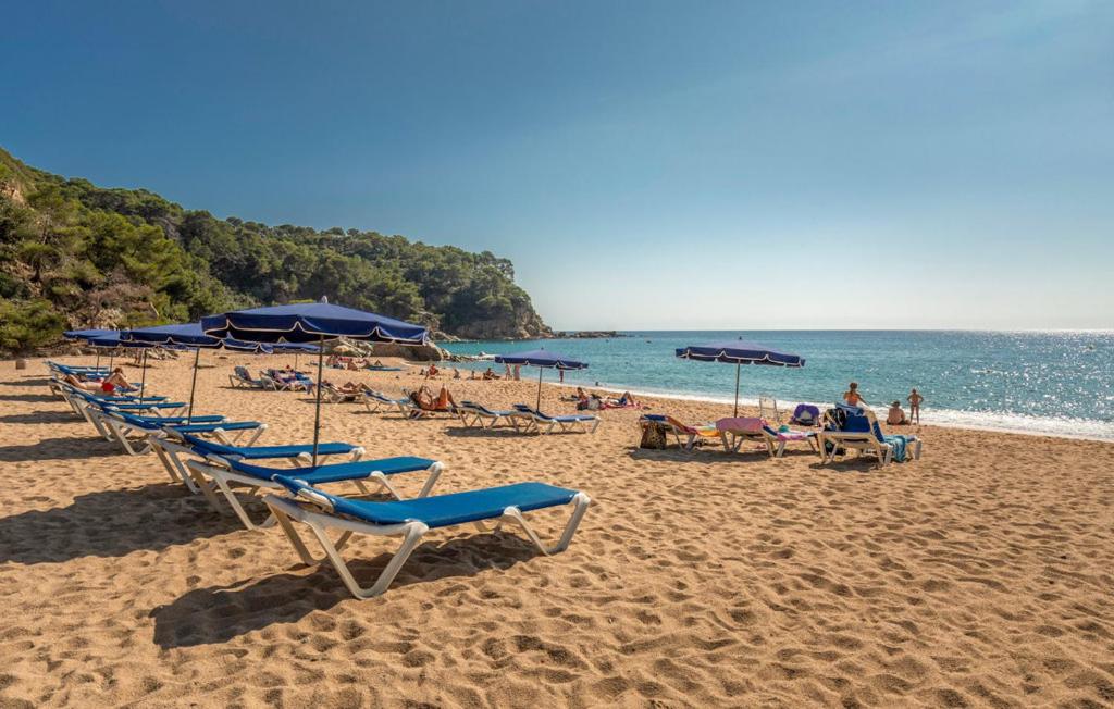 - un groupe de chaises longues et de parasols sur une plage dans l'établissement Villa Girasol, à Vidreres