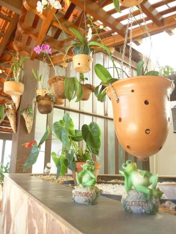  Ecos Hotel Tourist