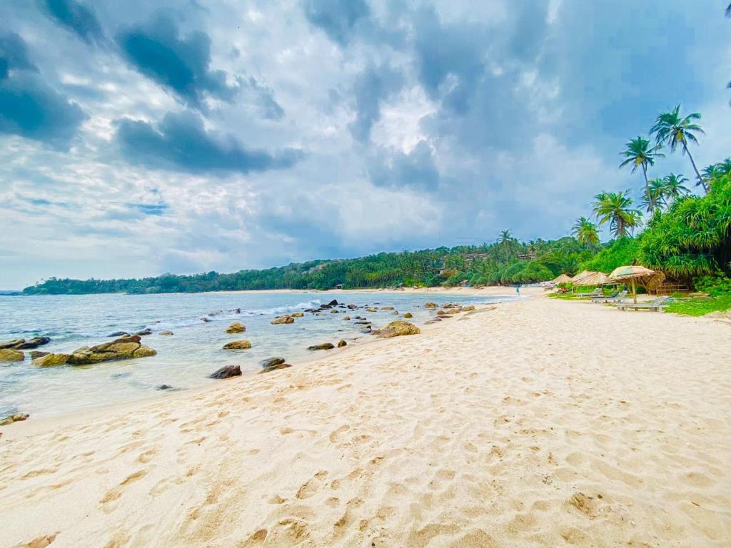une plage de sable avec des palmiers et l'océan dans l'établissement Sanderling Silent Beach Cabanas, à Tangalle