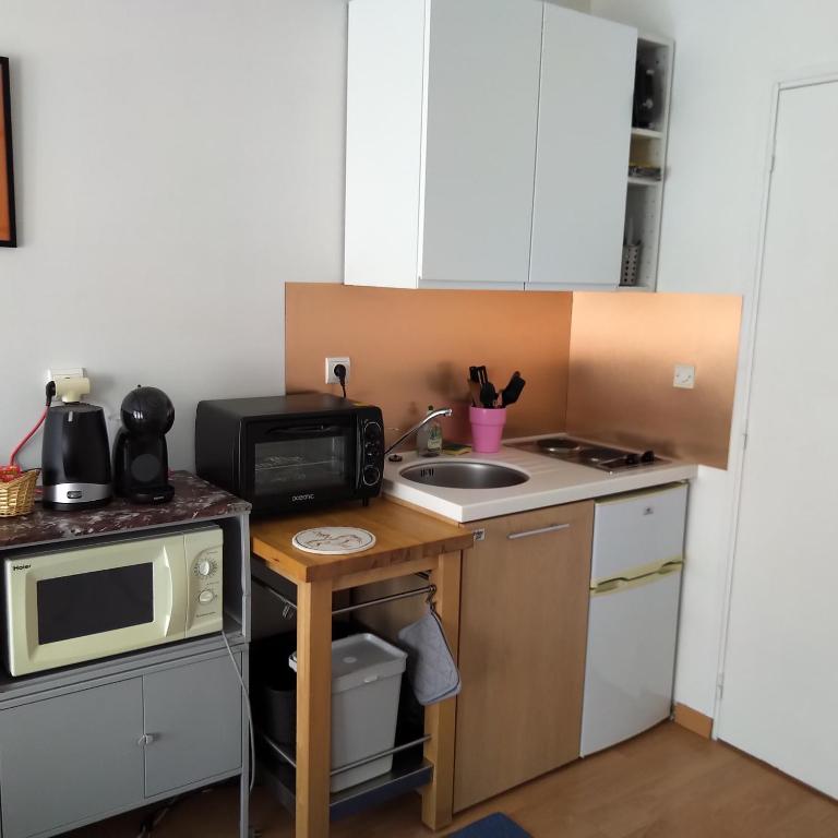 Kuchyň nebo kuchyňský kout v ubytování STUDIO au sud de Lyon à Oullins