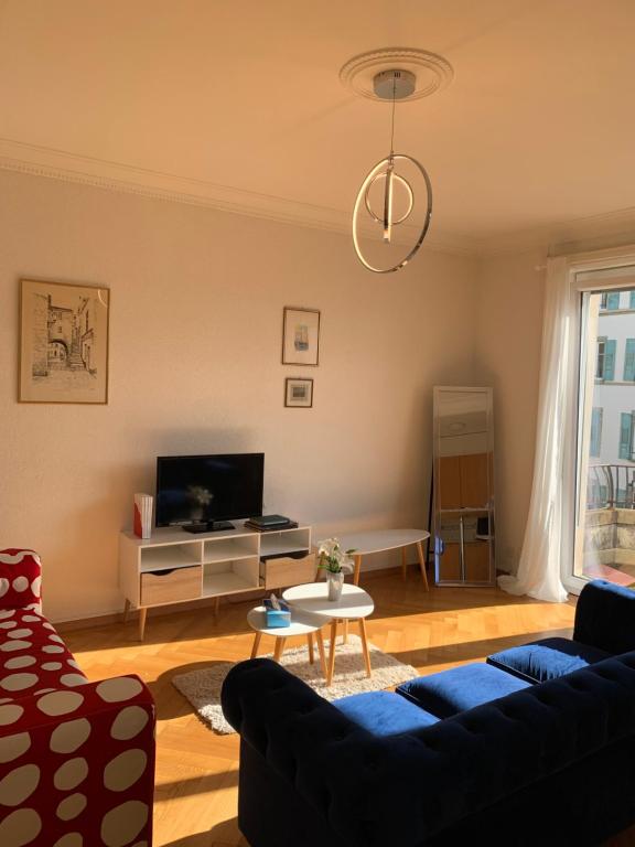 a living room with a couch and a tv at City appartement in Lausanne