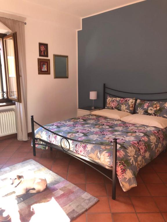 ein Schlafzimmer mit einem Bett und einem Hund, der auf dem Boden liegt in der Unterkunft MILU'- incantevole appartamento in centro a Garda in Garda