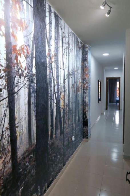 Fotografie z fotogalerie ubytování Your Spain Arte v destinaci Torrevieja