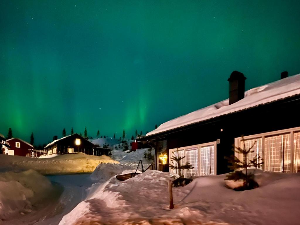 Family friendly cabin Hemsedal GolfAlpin golf, ski-out, fireplace & wifi v zimě