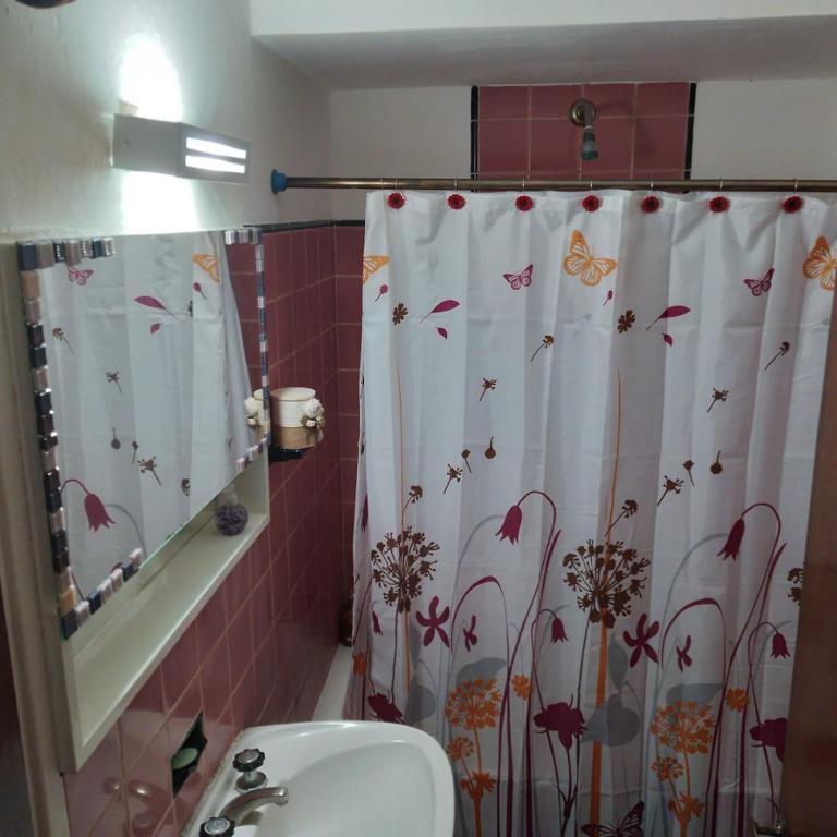 baño con lavabo y cortina de ducha con mariposas en chalet de tata en Tandil