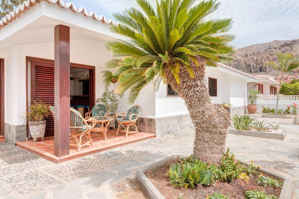 a palm tree in front of a house at Chalet Umbelina con jardin y vista al mar in Palm-mar