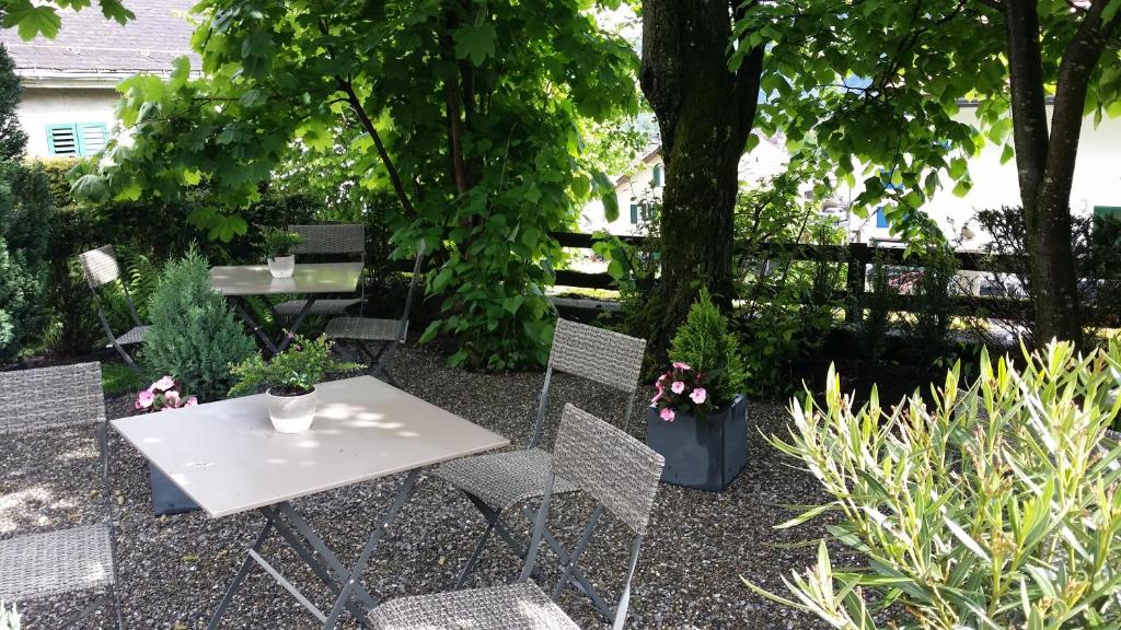 Zahrada ubytování BnB Elsenerhaus