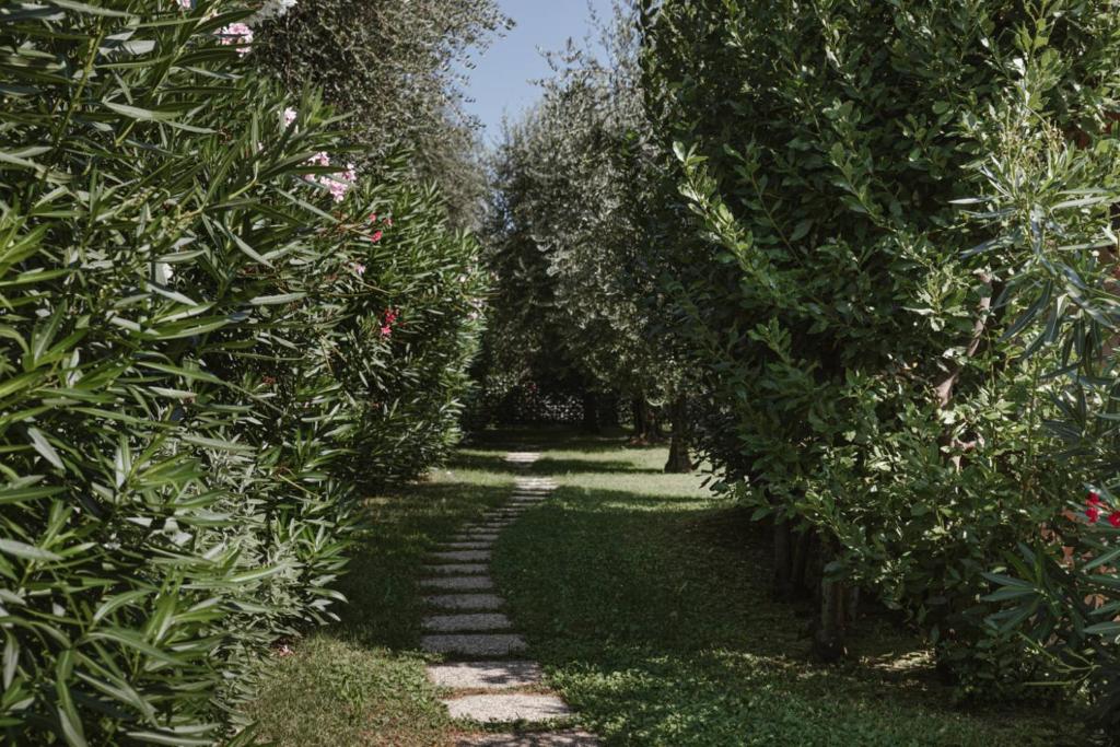 A garden outside App. Mimosa Minerva Holiday Home
