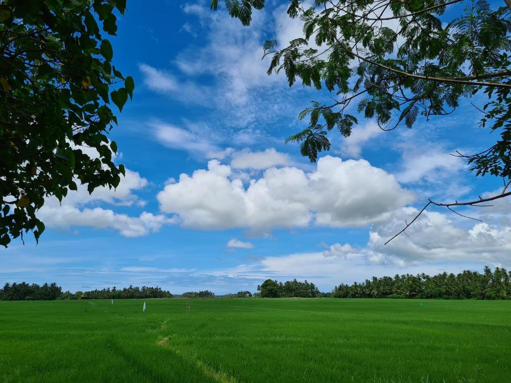 Ranakeliya Lodge - Yala - 12