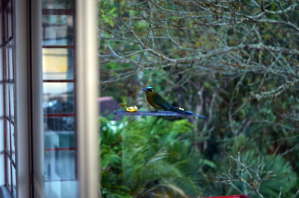 Een tuin van Eco Lodge La Juanita