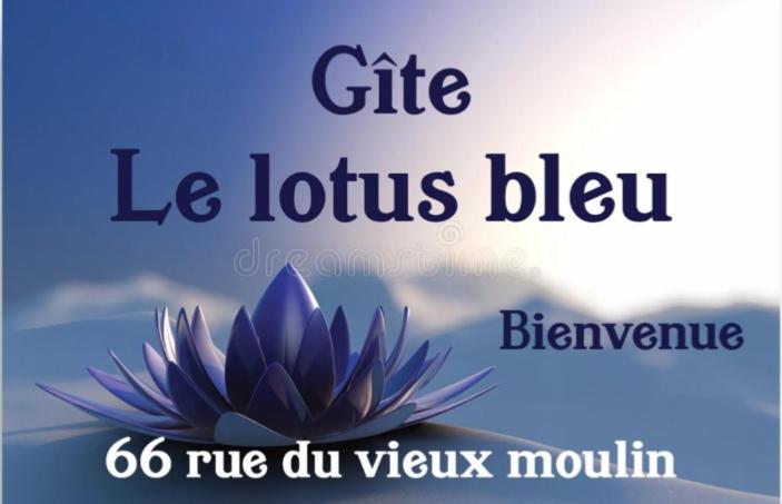 une photo d'une fleur bleue avec les mots cadeau le lotus en fleurs dans l'établissement Maison de campagne dans le vignoble champenois, à Le Breuil