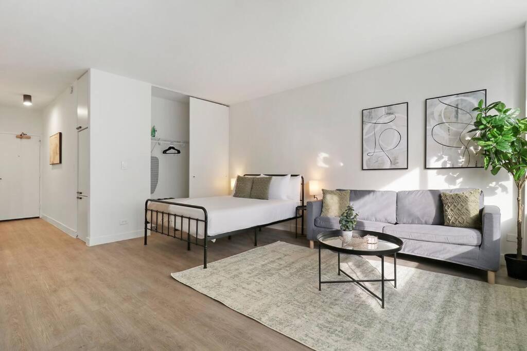Refined Studio Apartment with InUnit Laundry Chestnut 17F, Chicago