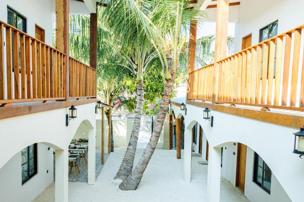 a courtyard with palm trees in a house at Ahiva Village in Fulhadhoo