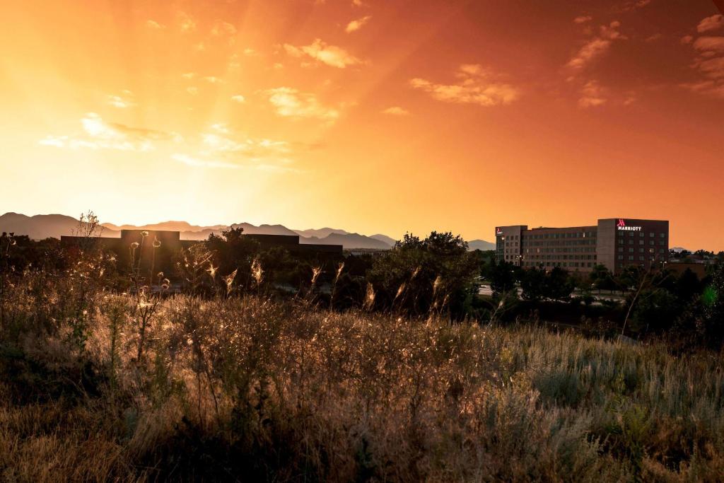 a field of tall grass with the sunset in the background at Denver Marriott Westminster in Westminster