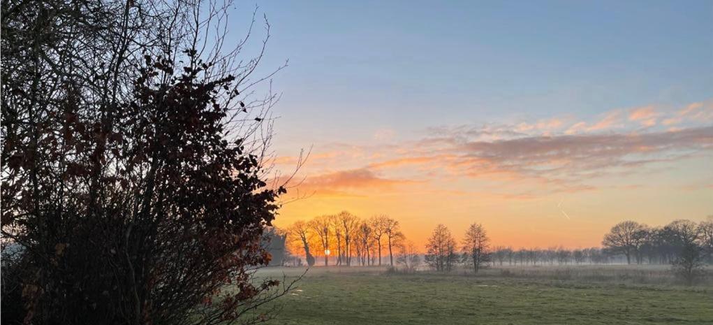 un champ avec des arbres et le coucher du soleil en arrière-plan dans l'établissement Boerderij De Boshoeve, à Sellingen